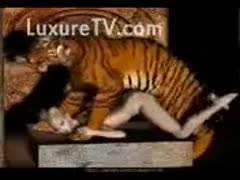 Tiger fucking a wicked blond